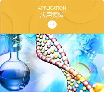 應用領域